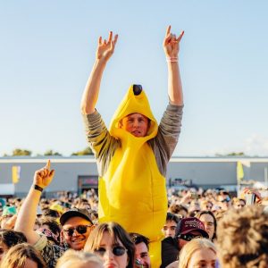 Groovin the Moo festival to draw 35,000 punters