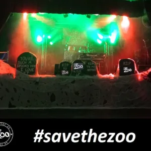 ‘With life there is hope’: staff member’s desperate plea to save beloved live music venue