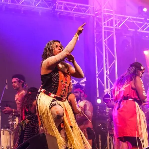 Woodford Folk Festival early bird tickets on sale