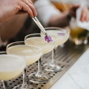 The Curated Plate brings 90 food and drink events to the Coast this winter