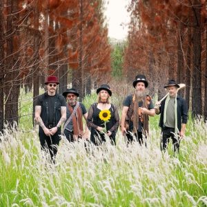 Maleny Music Festival: all you need to know