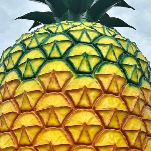 Newly refurbished Big Pineapple landmark costs $10 to climb
