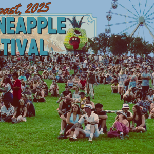 5 Unmissable Live Music Gigs & Festivals this November
