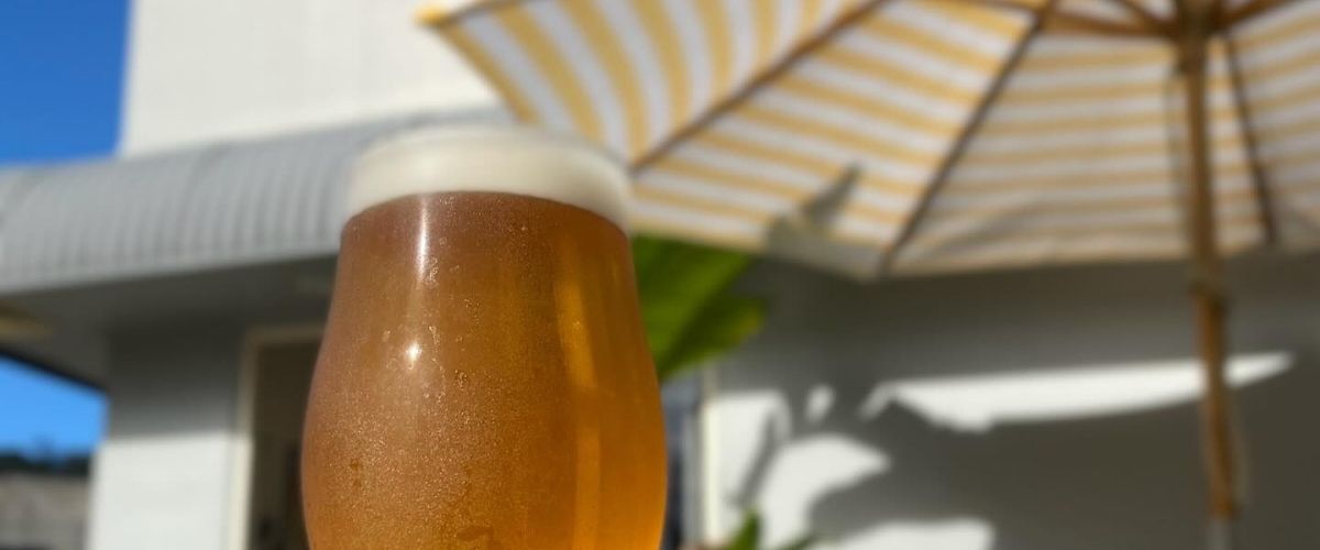 Image of a beer under an outdoor umbrella at Sunshine Coast Brewery.
