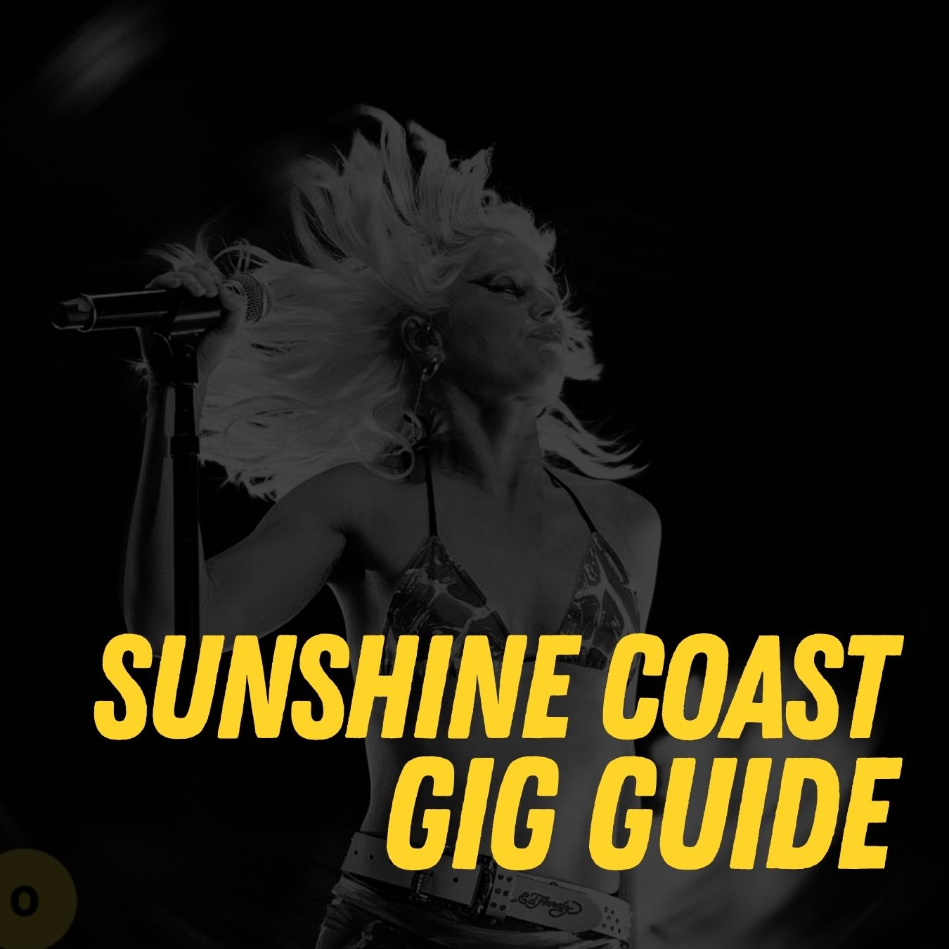Sunshine Coast gig guide thumbnail