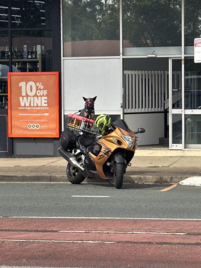 Dog wearing aviator sunglasses waiting beside a motorbike outside a Nambour bottle shop
