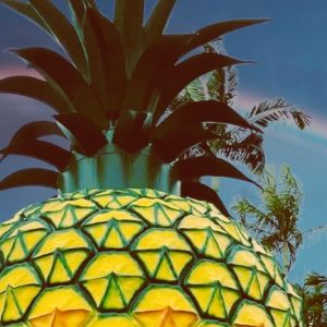 Big Pineapple to get $10m microbrewery revamp