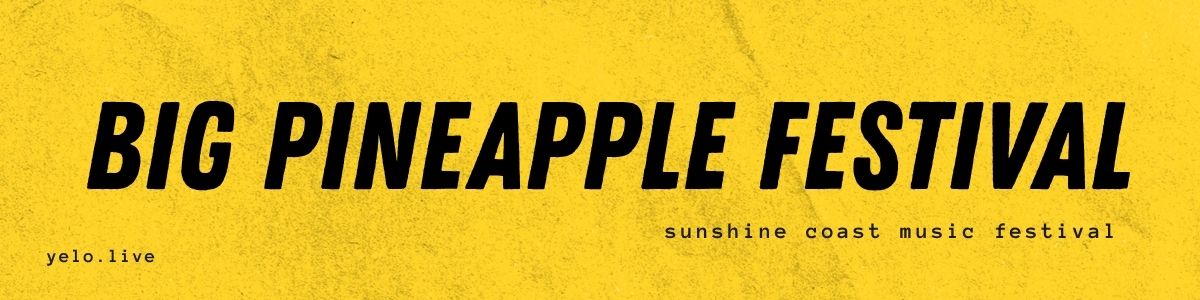 Big Pineapple Festival banner