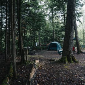 Hidden Camp closes amid scrutiny after festival death