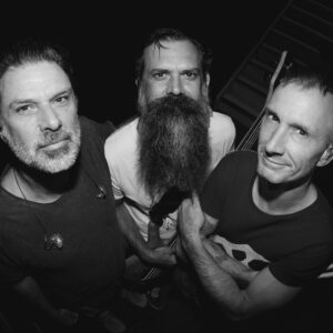 COG return to Sunshine Coast for December holiday shows